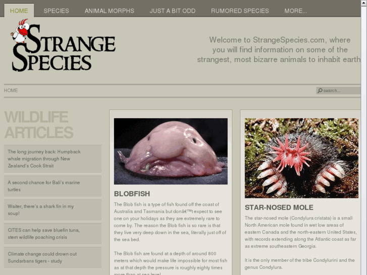 www.strangespecies.com