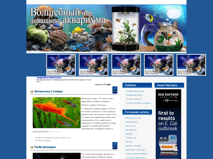 www.aquafish.biz