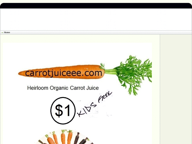 www.carrotjuiceee.com