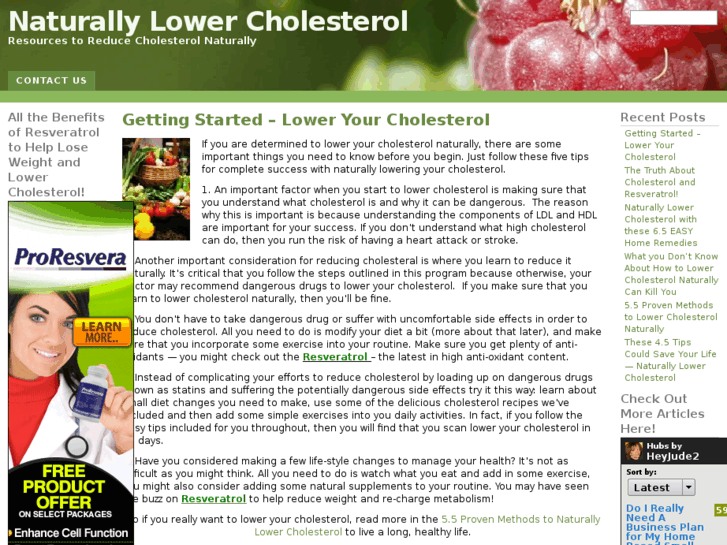 www.naturallylowercholesterolnow.com