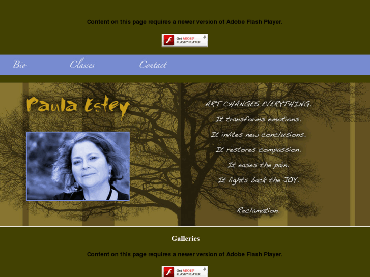 www.paulaestey.com