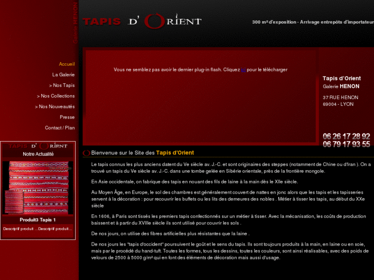 www.tapis-objets-d-art-lyon.com