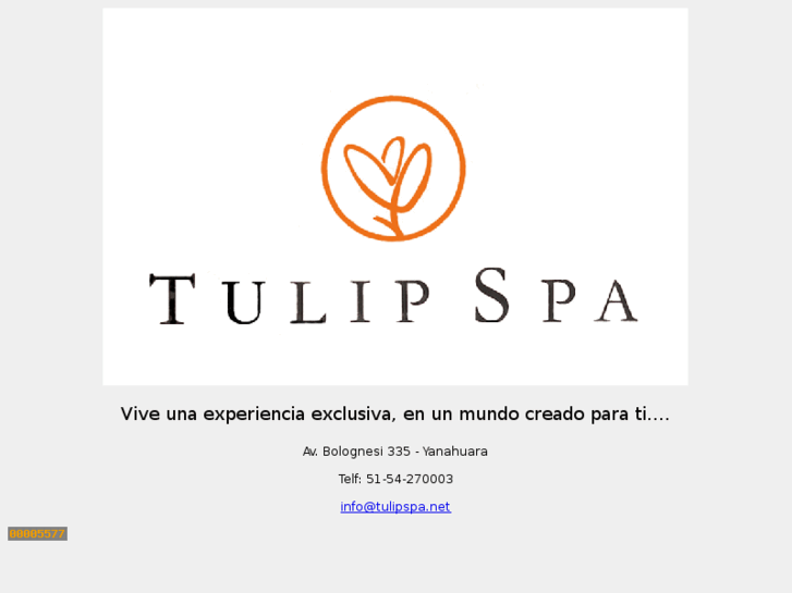 www.tulipspa.net