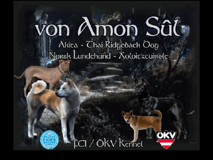 www.amon-sul.at