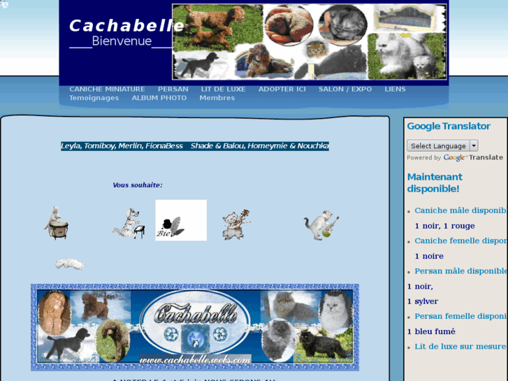 www.cachabelle.com