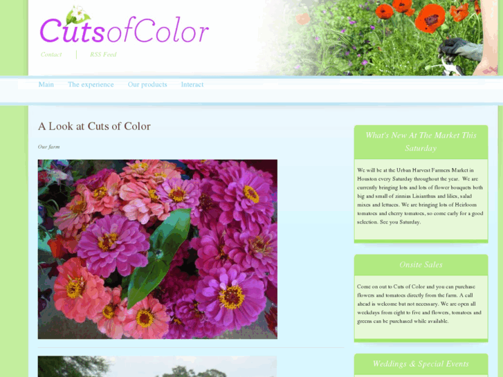 www.cutsofcolor.com