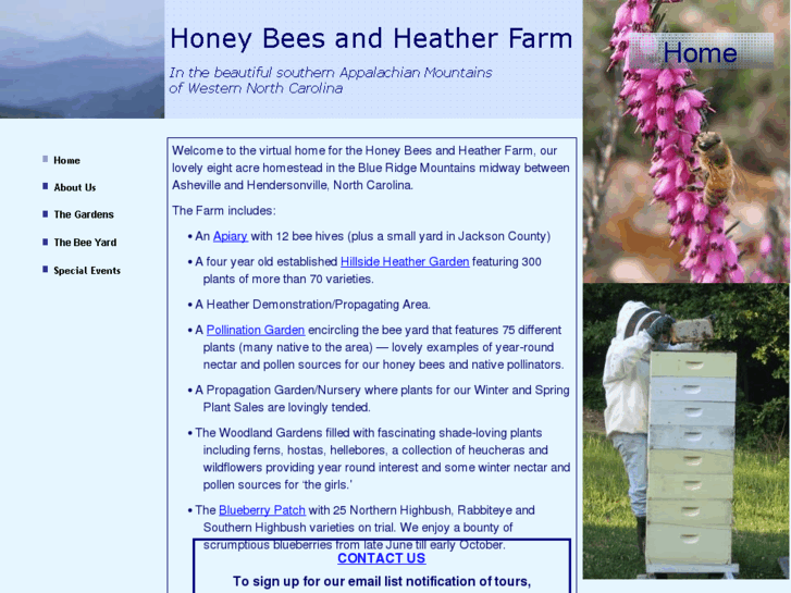 www.honeybeesandheather.com