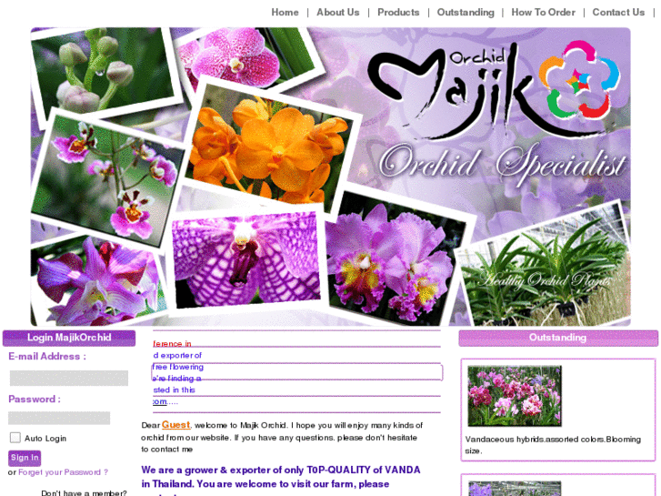 www.majikorchid.com