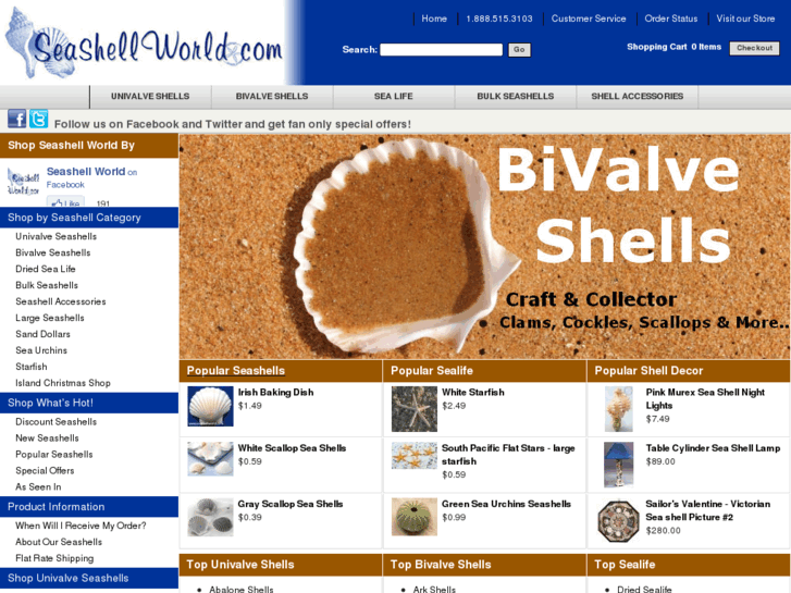 www.seashellworld.com
