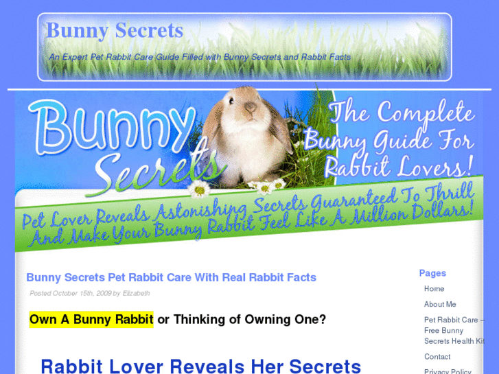 www.bunnysecrets.com