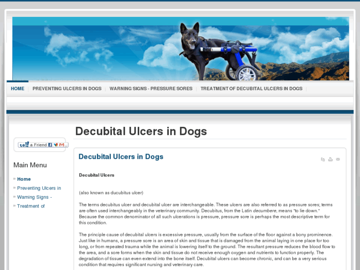 www.decubitalulcer.com