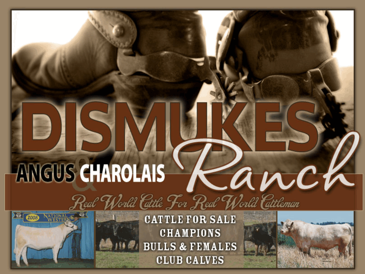 www.dismukesranch.com