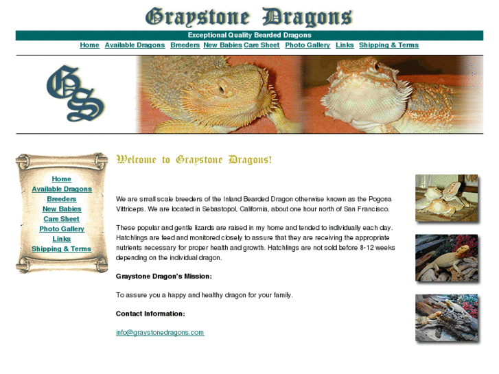 www.graystonedragons.com