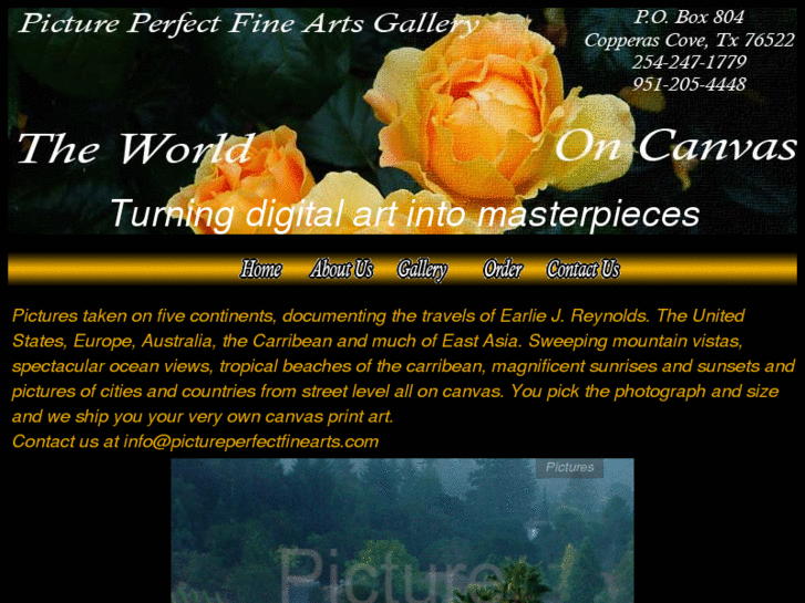 www.pictureperfectfinearts.com