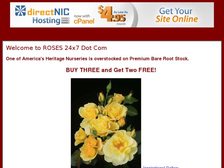 www.roses24x7.com