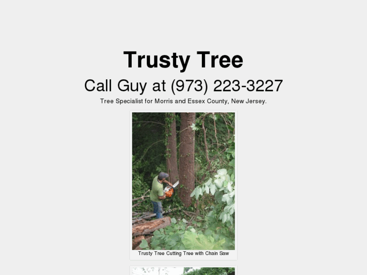 www.trustytree.com