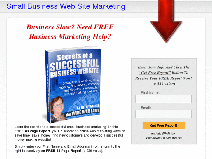 www.wisewebsitesuccess.com