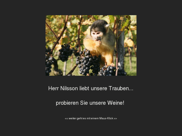 www.haubensak-weine.ch