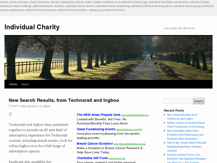 www.individualcharity.com