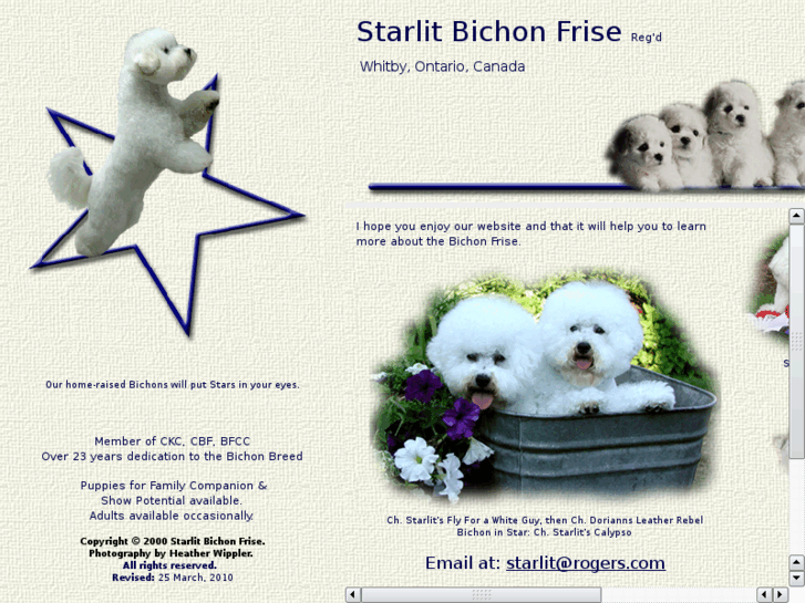 www.starlitbichon.com