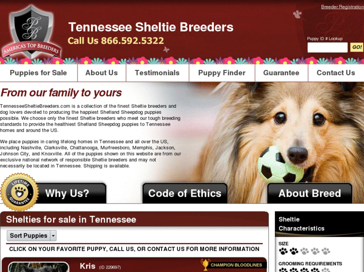 www.tennesseesheltiebreeders.com