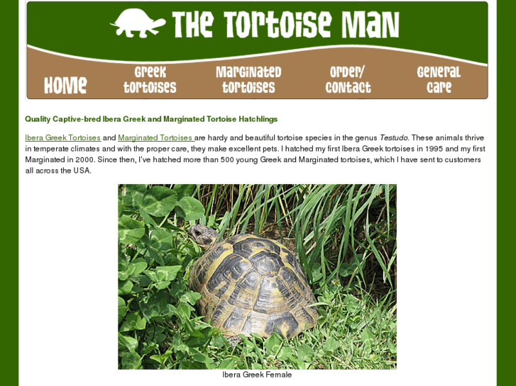 www.thetortoiseman.com