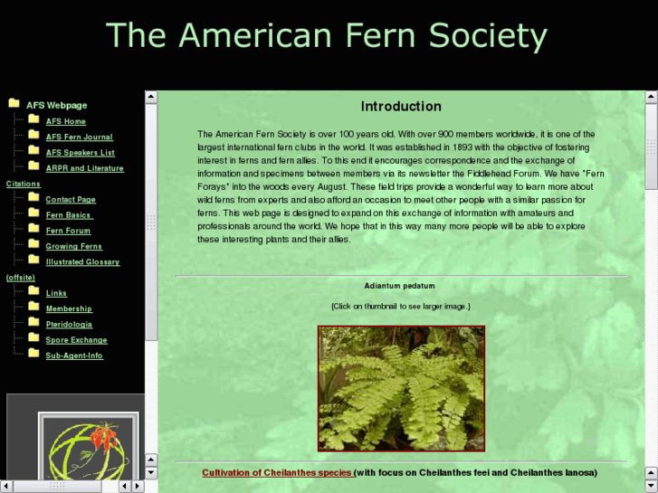 www.amerfernsoc.org