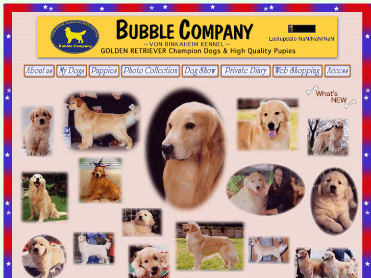 www.bubble-company.com