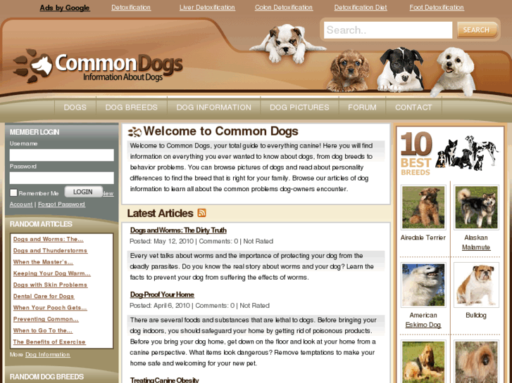 www.commondogs.com