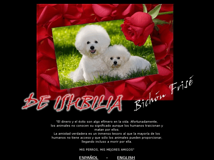 www.deishbilia.com