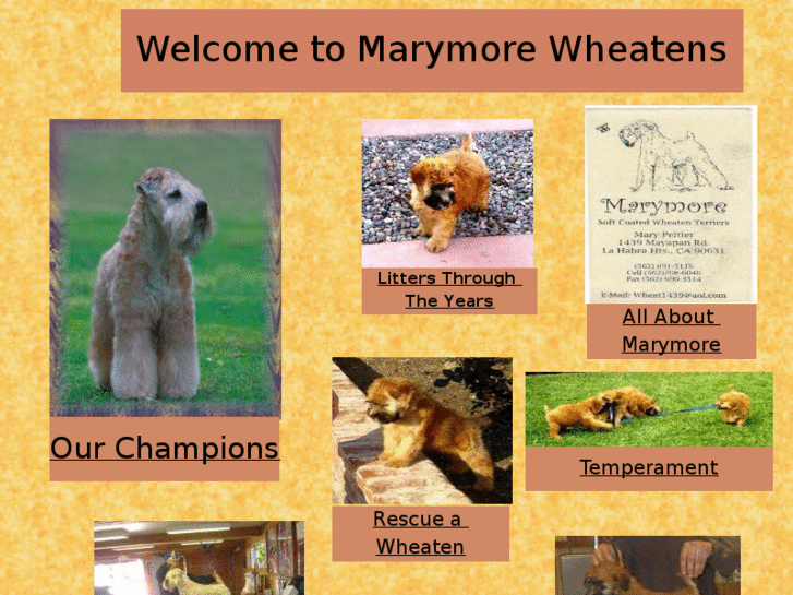 www.marymorewheatens.com