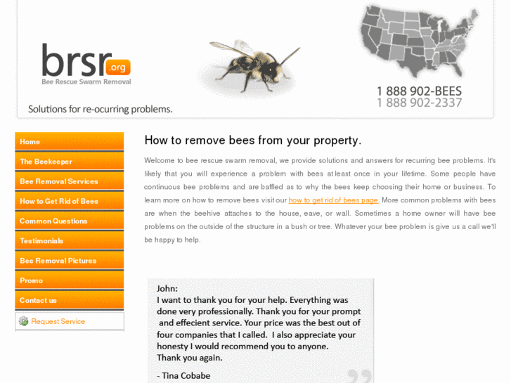 www.removebees.org