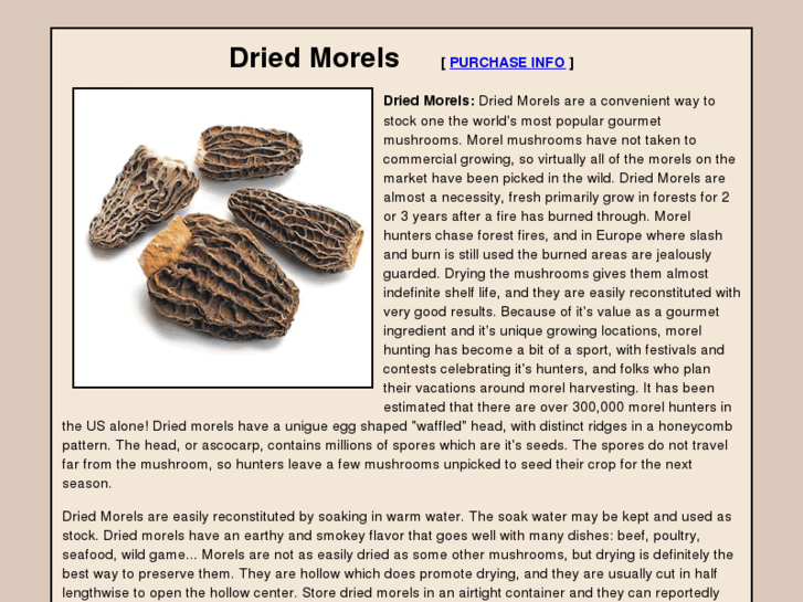 www.dried-morels.com