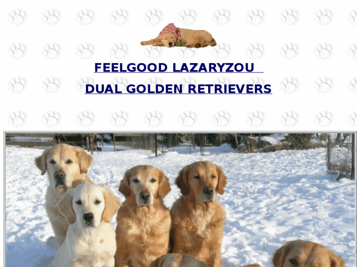 www.feelgood-goldens.com