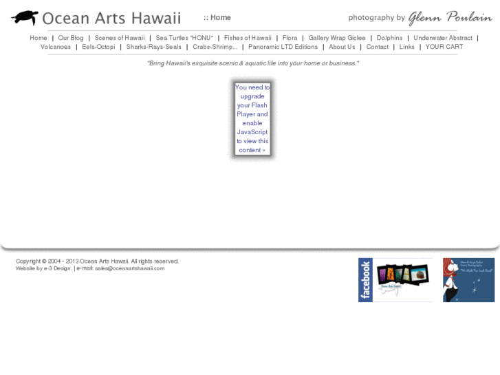 www.oceanartshawaii.com