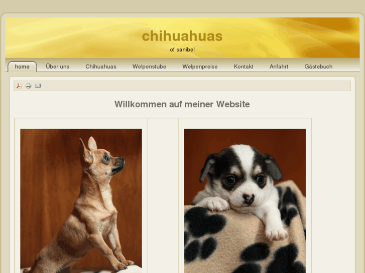 www.chihuahua-of-sanibel.com