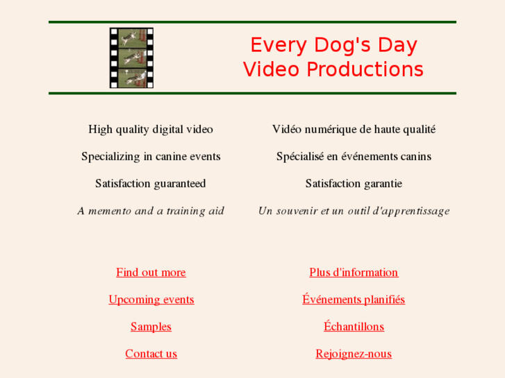 www.everydogsday.com