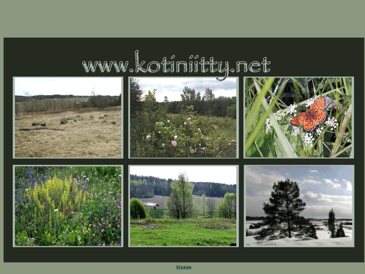 www.kotiniitty.net