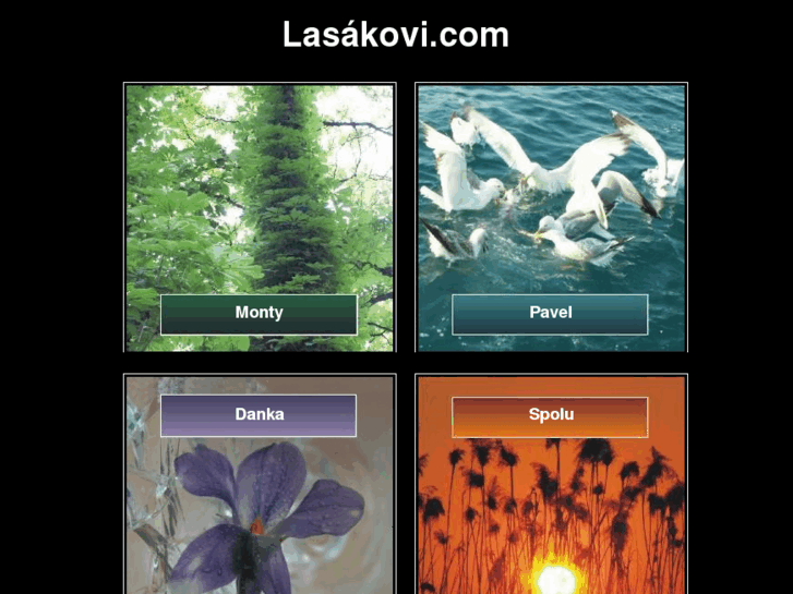 www.lasakovi.com