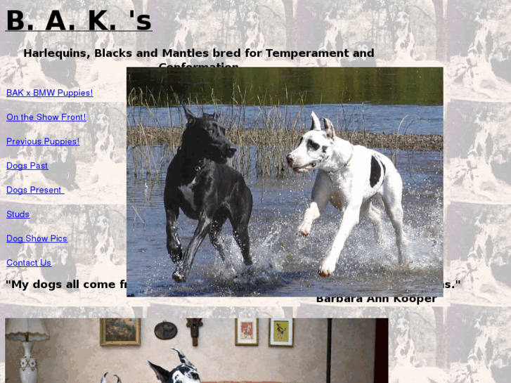 www.bakharlequins.com