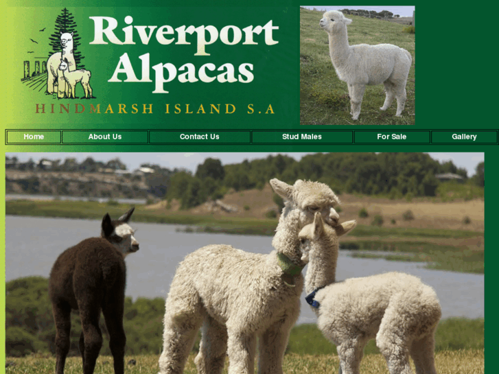 www.riverport-alpacas.com