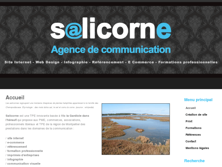 www.salicorne.org