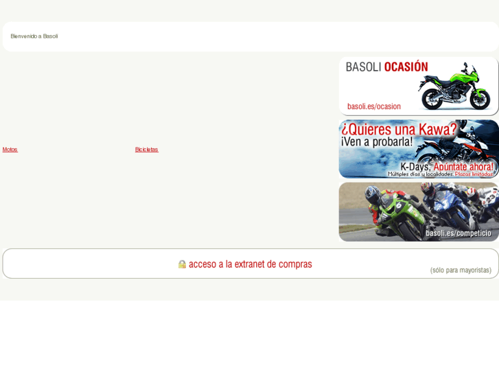 www.basoli.com