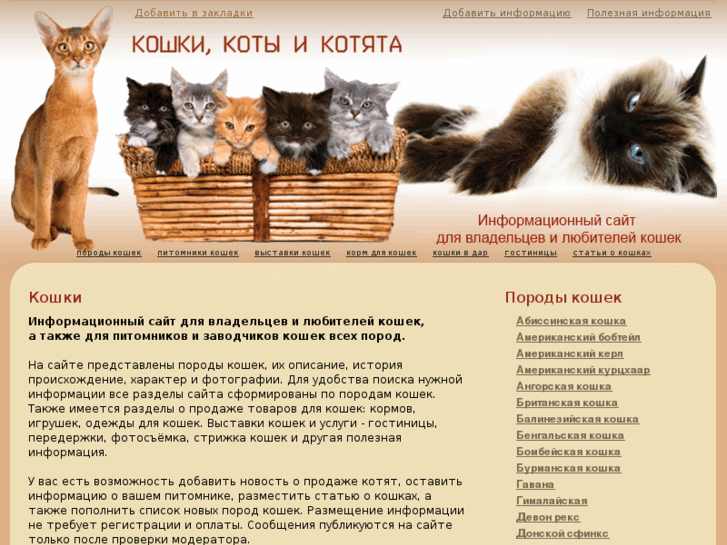 www.cat-sale.ru