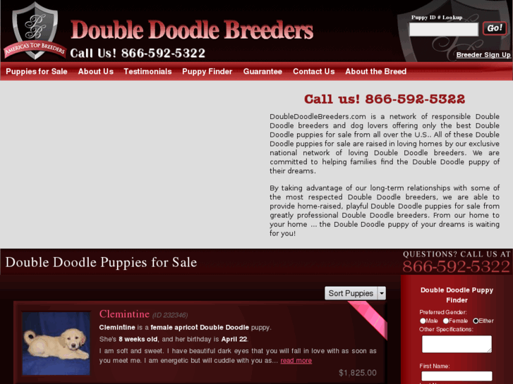 www.doubledoodlebreeders.com