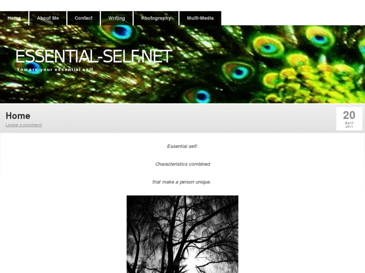 www.essential-self.net