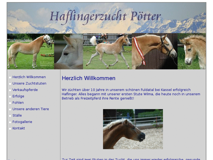 www.haflingerzucht-poetter.de