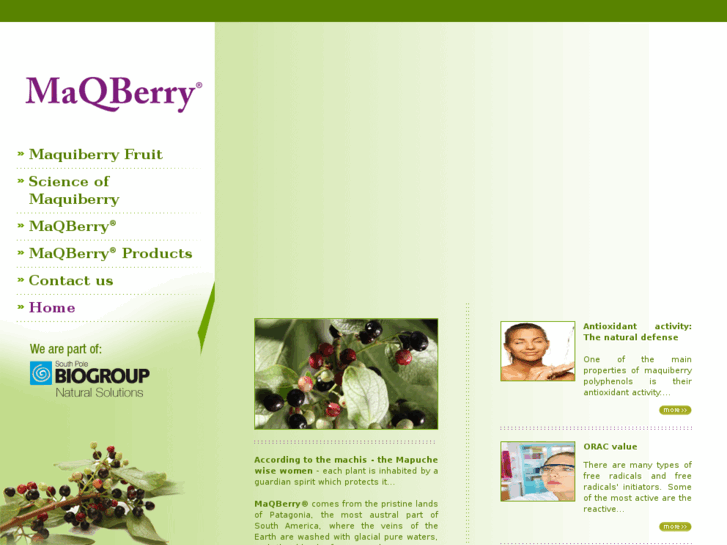 www.maquiberry.com