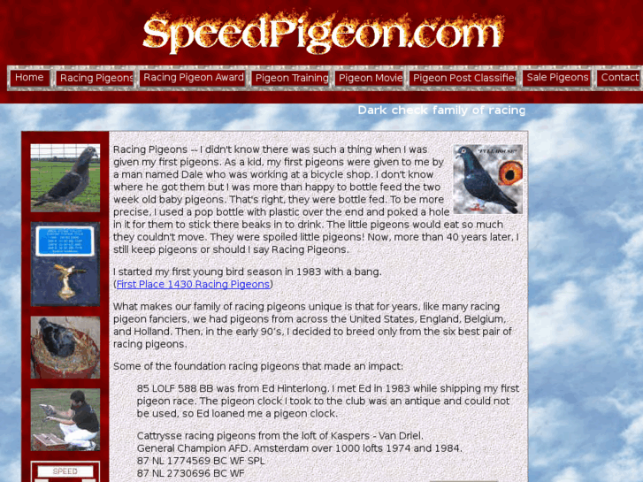 www.speedpigeon.com