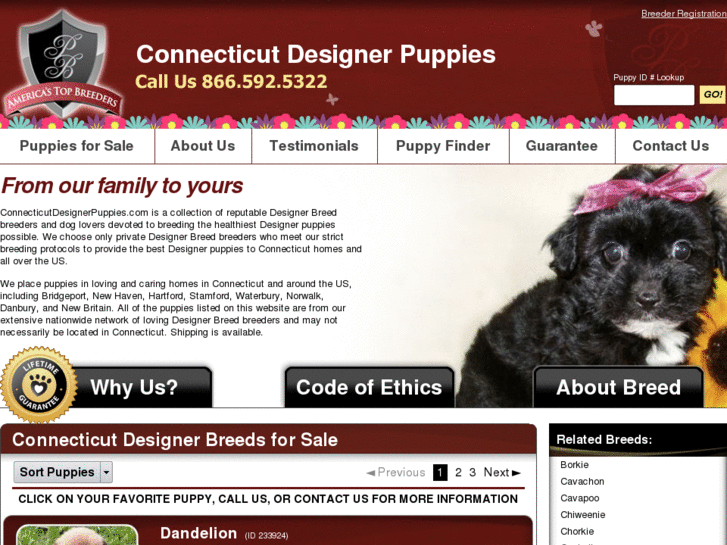 www.connecticutdesignerpuppies.com